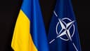 Ukraine agrees not to join NATO by June 30?